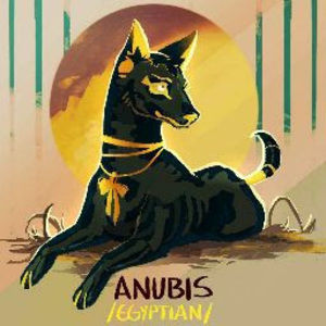 Meet your Posher, Kaylee